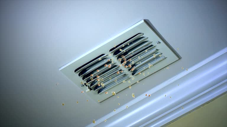 Best Ductwork Cleaning Services  in Pleasant Hills, PA