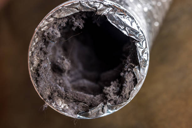 Best HVAC Duct Inspection Services  in Pleasant Hills, PA